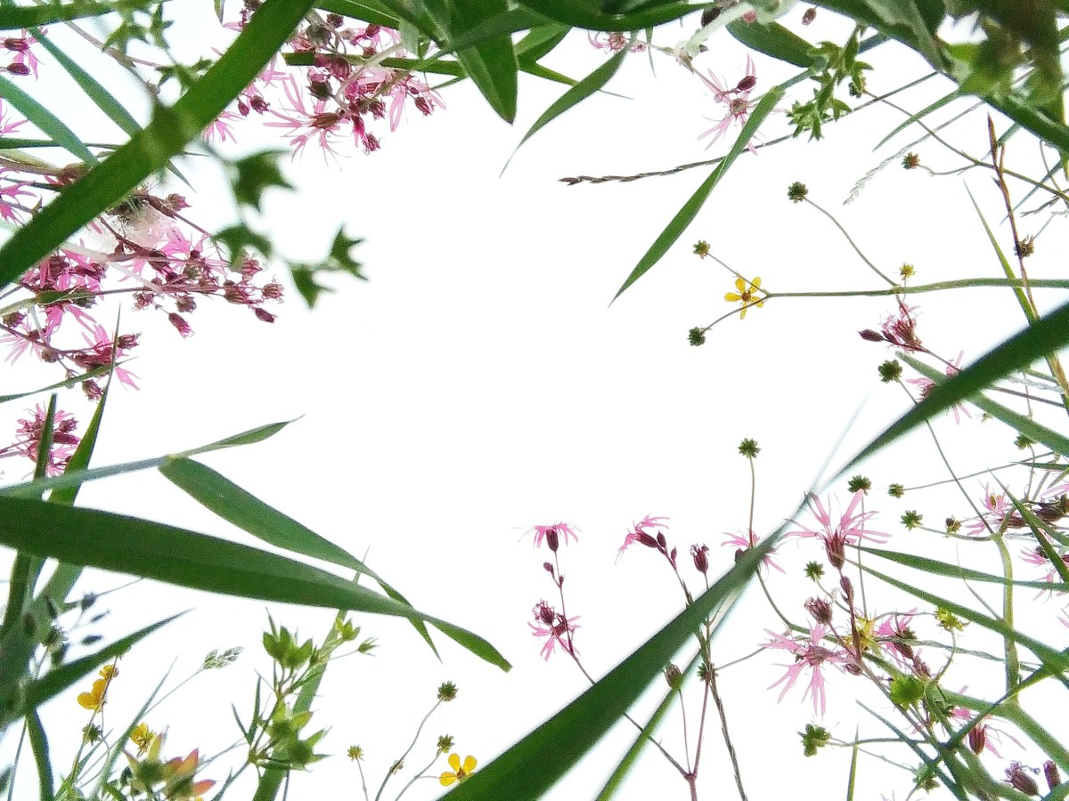 Cambiare punti di vista, priorità e&nbsp;direzioni